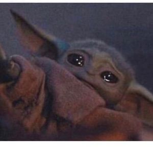 Meet your Posher, Franklin